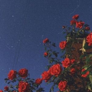 Meet your Posher, Briana